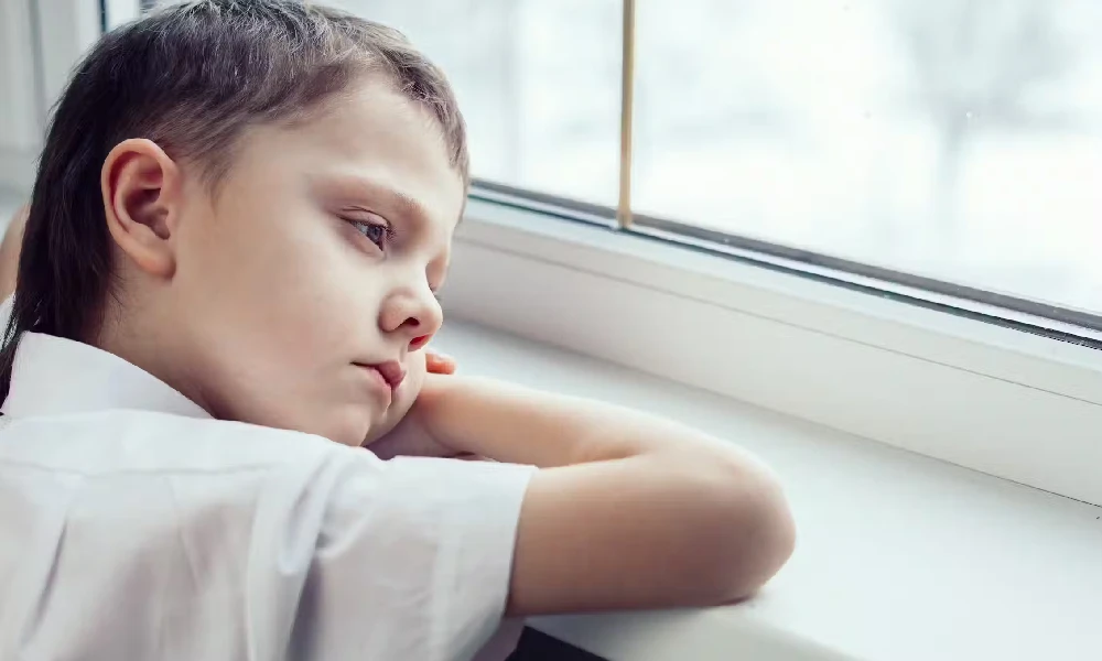 ویژگی‌های اوتیسم سطح ۲