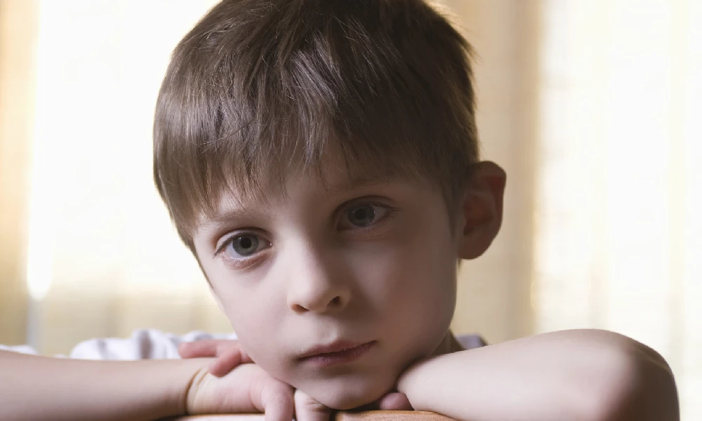 درمان و حمایت اوتیسم سطح 2